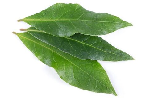 NEOflorax obsahuje bobkový list