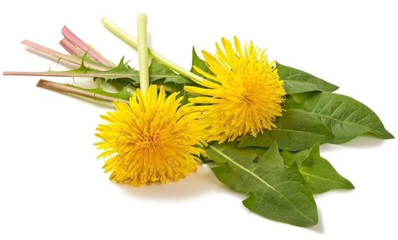 NEOflorax obsahuje pampelišku